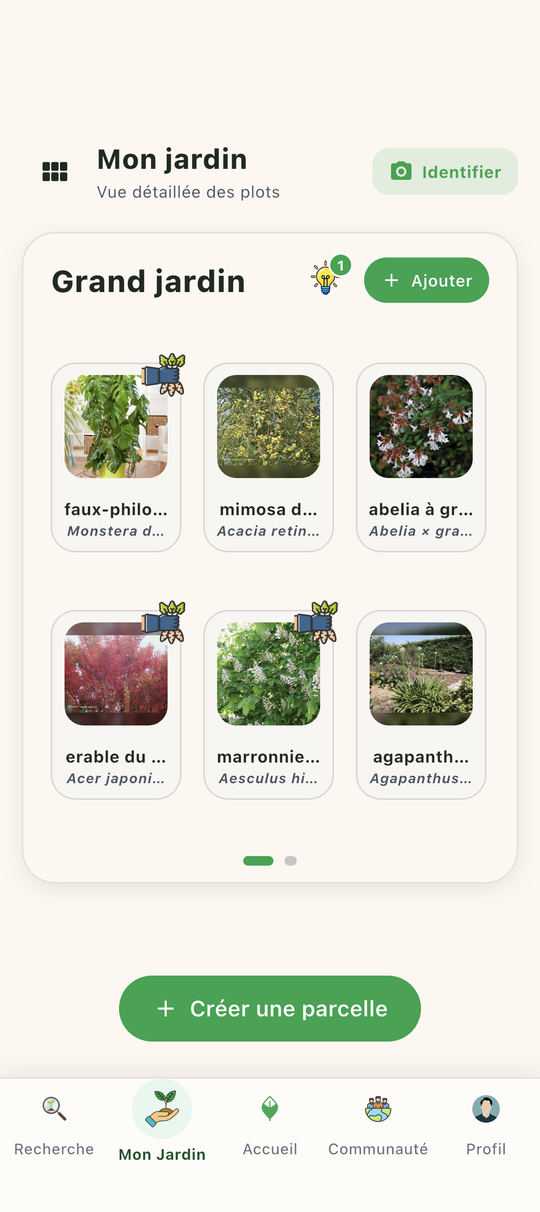 Écran Mon jardin avec une parcelle de potager